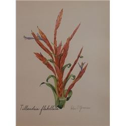 Hand Signed 1961 Litho Helen O'Gorman