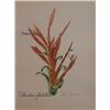 Image 1 : Hand Signed 1961 Litho Helen O'Gorman