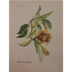 Hand Signed 1961 Litho Helen O'Gorman