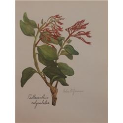 Hand Signed 1961 Litho Helen O'Gorman
