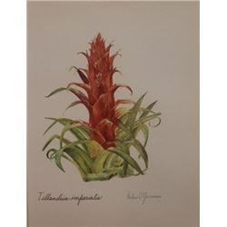 Hand Signed 1961 Litho Helen O'Gorman