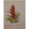 Image 1 : Hand Signed 1961 Litho Helen O'Gorman
