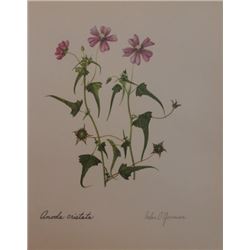Vintage Lithograph Hand Signed
