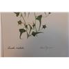 Image 2 : Vintage Lithograph Hand Signed