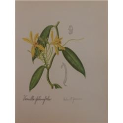 Vintage Lithograph Hand Signed