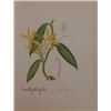 Image 1 : Vintage Lithograph Hand Signed