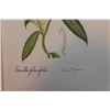 Image 2 : Vintage Lithograph Hand Signed