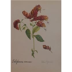 Hand Signed 1961 Litho Helen O'Gorman