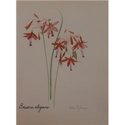 Hand Signed 1961 Litho Helen O'Gorman
