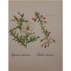 Hand Signed 1961 Litho Helen O'Gorman