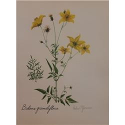 Hand Signed 1961 Litho Helen O'Gorman