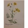 Image 1 : Hand Signed 1961 Litho Helen O'Gorman