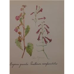 Hand Signed 1961 Litho Helen O'Gorman