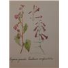 Image 1 : Hand Signed 1961 Litho Helen O'Gorman