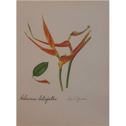 Hand Signed 1961 Litho Helen O'Gorman