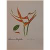 Image 1 : Hand Signed 1961 Litho Helen O'Gorman
