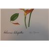 Image 2 : Hand Signed 1961 Litho Helen O'Gorman