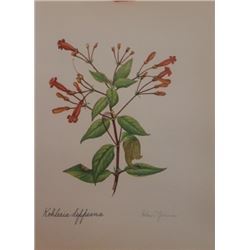 Hand Signed 1961 Litho Helen O'Gorman