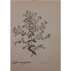 Hand Signed 1961 Litho Helen O'Gorman