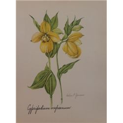 Hand Signed 1961 Litho Helen O'Gorman