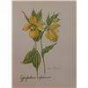 Image 1 : Hand Signed 1961 Litho Helen O'Gorman