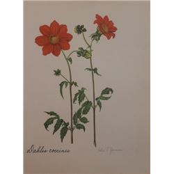 Hand Signed 1961 Litho Helen O'Gorman