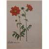 Image 1 : Hand Signed 1961 Litho Helen O'Gorman