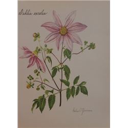 Hand Signed 1961 Litho Helen O'Gorman