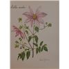 Image 1 : Hand Signed 1961 Litho Helen O'Gorman