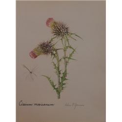 Vintage Lithograph Hand Signed