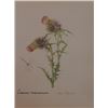 Image 1 : Vintage Lithograph Hand Signed