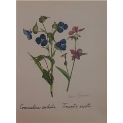 Vintage Lithograph Hand Signed