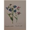 Image 1 : Vintage Lithograph Hand Signed