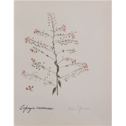 Hand Signed 1961 Litho Helen O'Gorman