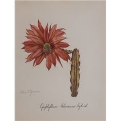 Hand Signed 1961 Litho Helen O'Gorman