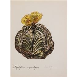 Hand Signed 1961 Litho Helen O'Gorman