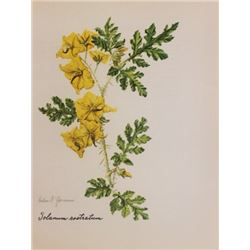 Hand Signed 1961 Litho Helen O'Gorman