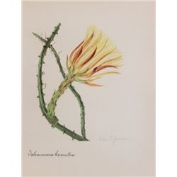 Hand Signed 1961 Litho Helen O'Gorman