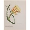 Image 1 : Hand Signed 1961 Litho Helen O'Gorman