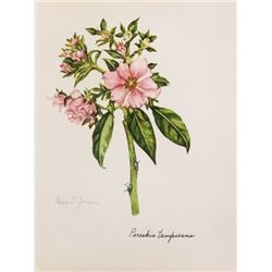 Hand Signed 1961 Litho Helen O'Gorman