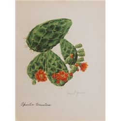 Hand Signed 1961 Litho Helen O'Gorman