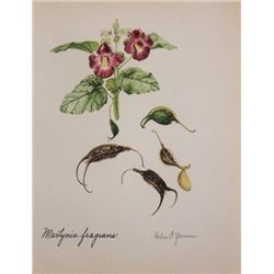 Hand Signed 1961 Litho Helen O'Gorman