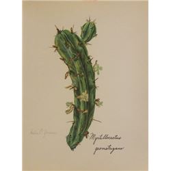 Hand Signed 1961 Litho Helen O'Gorman