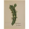 Image 1 : Hand Signed 1961 Litho Helen O'Gorman