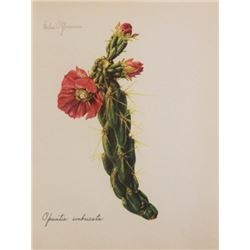 Hand Signed 1961 Litho Helen O'Gorman