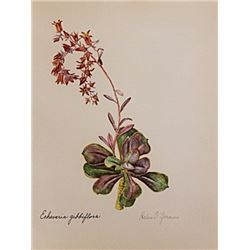 Hand Signed 1961 Litho Helen O'Gorman