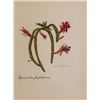 Image 1 : Hand Signed 1961 Litho Helen O'Gorman