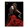Image 1 : Dancer in Red with Polkadots by Perez, Fabian