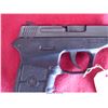 Image 7 : SMITH WESSON BODYGUARD 380