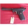 Image 4 : RUGER 22-45